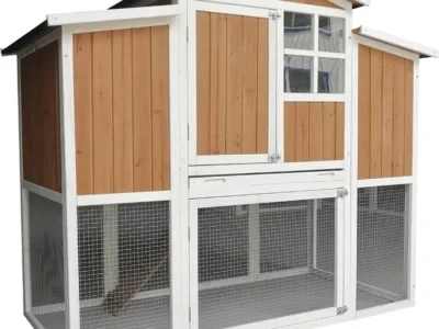 Analisse Chicken Coop Deal at Wayfair: Save $382