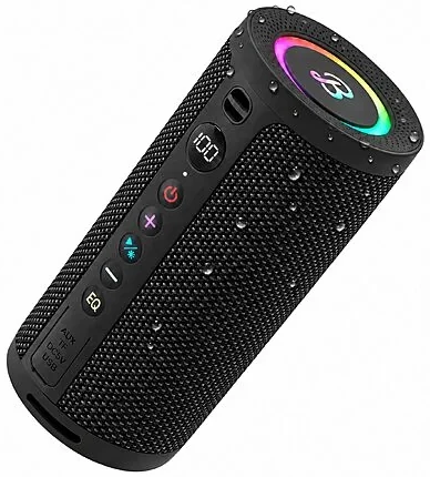 BassBloom Roar 3 20W IPX6 Waterproof Portable Bluetooth 5.4 Speaker (Glossy Black)