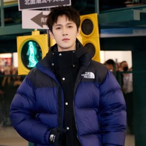 The North Face outerwear at Cettire